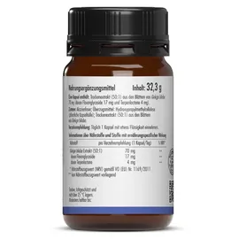 Sovita Ginkgo Kapseln 90 St.