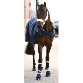 EQuest Führanlagendecke Kingston 600D 100g XL Blau