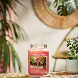 Yankee Candle The Last Paradise mittelgroße Kerze 411 g