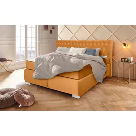 LEONIQUE Boxspringbett LEONIQUE "Rumba", gold (goldfarben), B:190cm L:213cm, Samtoptik (100% Polyester), Komplettbetten, Boxspringbett Seniorenbett Polsterbett, Taschenfederkern-Matratze in Härtegrad 3, in 4 Breiten, incl. Topper