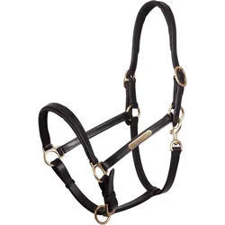 Halfter aus Leder Premiere Equitation COB