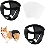 Sinirttou 2er Pack Mesh Läufigkeitshose für Hündinnen mit 6 Damenbinden Wiederverwendbare Weibliche Hunde Läufigkeitshosen für Hündinnen Waschbar Langlebig Hund Windeln Hose, Schwarz (M)