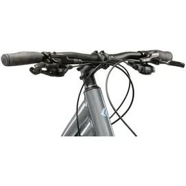 KROSS Evado 5.0 28 Zoll RH 48 cm Damen grau