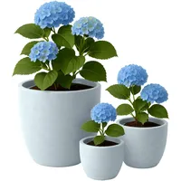 CLP Pflanzkübel rund 3er Set Ø 30 x 30