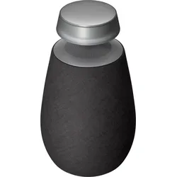 LG CE Electronics Bluetooth Lautsprecher DXO2TBK.CEUSALK