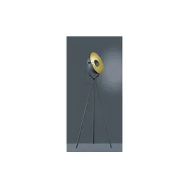 rl live your light Chewy (R40181032)