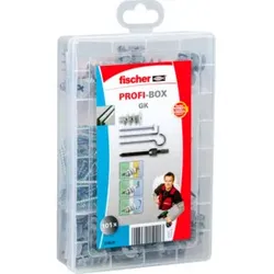 fischer Meister-Box GK + Screw + Hook (NV)