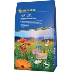 Kiepenkerl Wildblumen-Wiese 250 gr. Profi-Line Nature