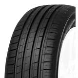 MINERVA F 209 205/65 R16 99H XL