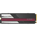 Netac NV7000 2TB M.2 Interner SSD 2TB Nvme 1.4 Pcie Gen4 SLC Cache, Kühlkörper A