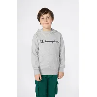 Champion Hoodie Grey 176