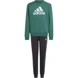 Adidas Kinder Sportanzug Essentials Big Logo Kids, CGREEN, 164