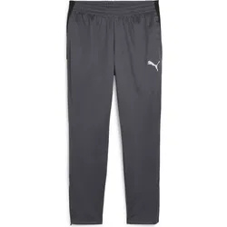 Puma Individualliga Training Pants galactic gray-yellow alert (08) S