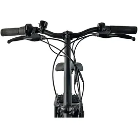 Llobe Neo.cult 20 Zoll RH 37 cm Unisex schwarz