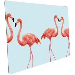 mySPOTTI Mini-Spritzschutz »Lovely Flamingo Aqua«, Aluverbund, Flamingo