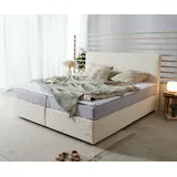 DeLife Dream-Well 180 x 200 cm H2/H3 beige