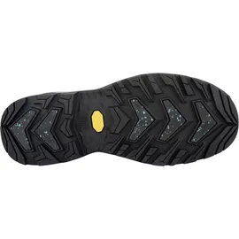 Lowa Renegade Evo Ice GTX schwarz, 44