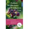 Essbare Wildkräuter und Wildbeeren für unterwegs