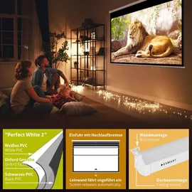 eSmart Professional MIROLO Rollo Leinwand 259 x 162 cm (120") 16:10