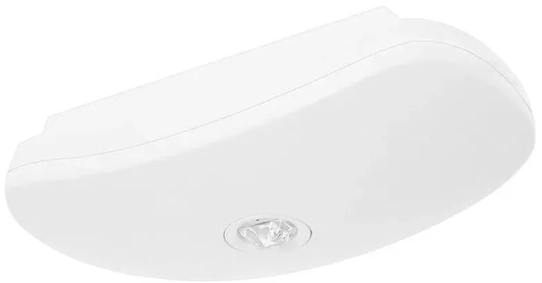 Fischer LED-Sicherheitsleuchte BSUE15I