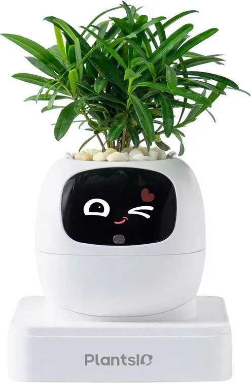 Ivy KI-Smart-Pflanztopf mit Emojis, intelligenter Pflanzroboter für Zimmerpflanzen, Tamagotchi-Blumentopf, stilvolle Dekoration (Elfenbein)