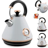 Berdsen BD-701 1,7 l Grau