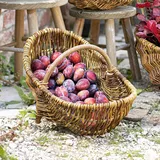 Erntekorb Weide Gartenkorb Blumenkorb Gondelkorb Weidenkorb Holzbügel Dekokorb g