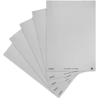 Herlitz Flipchart-Papier blanko 20 Blatt 6 fach Lochung 5 Stück