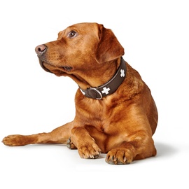 Hunter Halsband Swiss 55 braun Leder Medium Hund Standardkragen