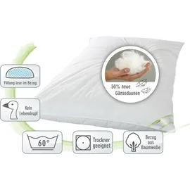 franknatur Ballonbett 155x220 Winterdecke 50% Gänsedaunen 2200g - Bettdecke Winter