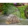 Cook King Grillrost aus Naturstahl 70 cm