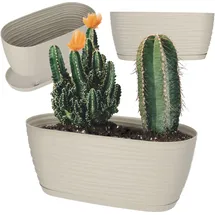 Kadax Blumentopf mit Untersetzer, aus Kunststoff, oval, 27 cm, Creme