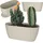 Kadax Blumentopf mit Untersetzer, aus Kunststoff, oval, 27 cm, Creme
