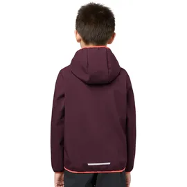 Jack Wolfskin Fourwinds Jacket Kids amaranth 92