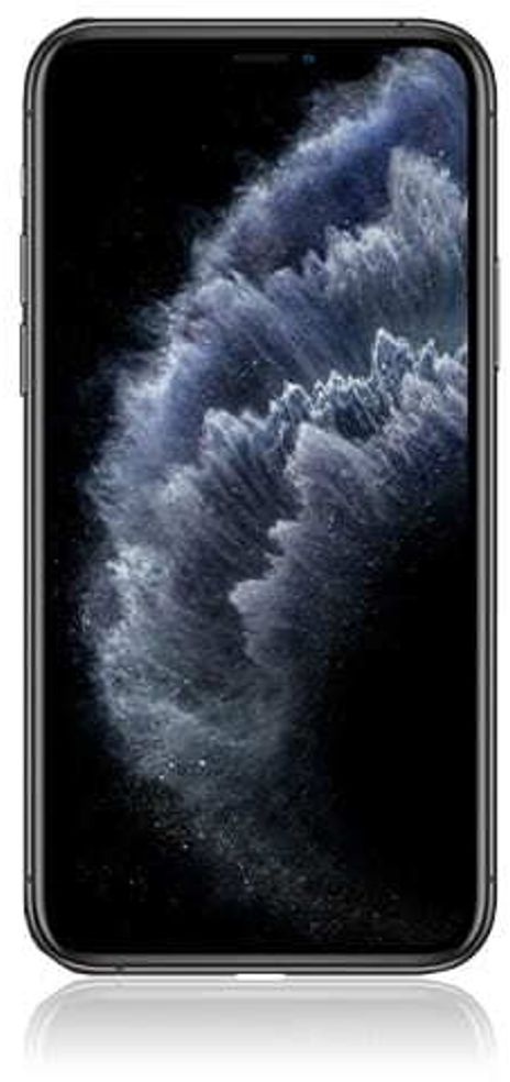 Apple iPhone 11 Pro 256GB Space Grau