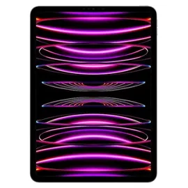 Apple iPad Pro 11" (4. Generation 2022) 512 GB Wi-Fi space grau