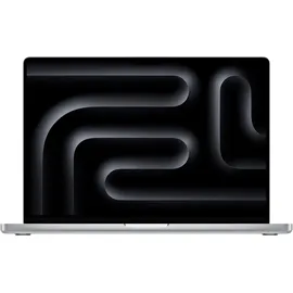 Apple Notebook "MacBook Pro 16''", silber (silberfarben), 48 GB RAM 1000 GB SSD, M4 Pro,macOS, Notebooks