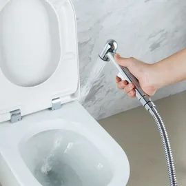 PaulGurkes PGSETBIDET4 Bidetarmatur Silberfarben