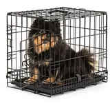 LIONTO Tiertransportbox 45x31x36 cm Schwarz