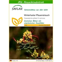 SAFLAX - Winterharter Pfauenstrauch - 10 Samen - Mit