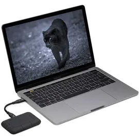 LaCie Rugged Pro 1 TB Thunderbolt 3 schwarz