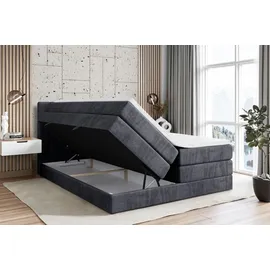 altdecor Boxspringbett CATOR KING - 160x200 - H3/H4 - Dunkelgrau