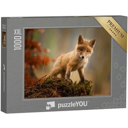 puzzleYOU Puzzle Ein junger Fuchs, 1000 Puzzleteile, puzzleYOU-Kollektionen Tiere, Füchse, 48 Teile, Schwierig, 100 Teile