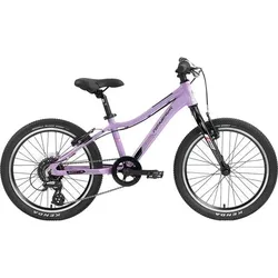 GENESIS Kinder Mountainbike Genesis Evolution Girl, HELLVIOLETT, ONE SIZE
