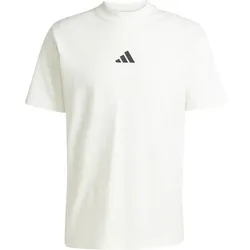 ADIDAS Herren Shirt City Escape, OWHITE, 3XL