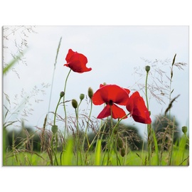 Artland Glasbild »Mohnblumen I«, Blumen, (1 St.), in verschiedenen Größen, rot