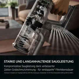 AEG 6000 Akku-Staubsauger AP61CB21RS