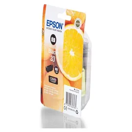 Epson 33 photo schwarz