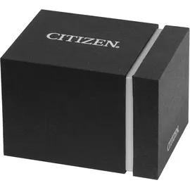 Citizen Eco-Drive Leder 40 mm AW1231-07A