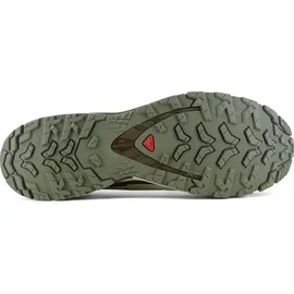 Salomon XA Pro 3D V9 GTX Herren Deep Lichen Green/Safari/Dark Earth 44 2/3